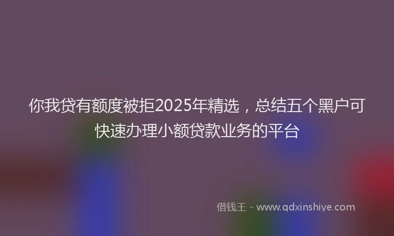 你我贷有额度被拒2025年精选，总结五个黑户可快速办理小额贷款业务的平台