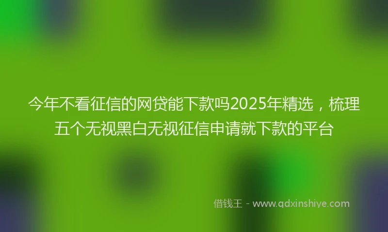 今年不看征信的网贷能下款吗2025年精选，梳理五个无视黑白无视征信申请就下款的平台
