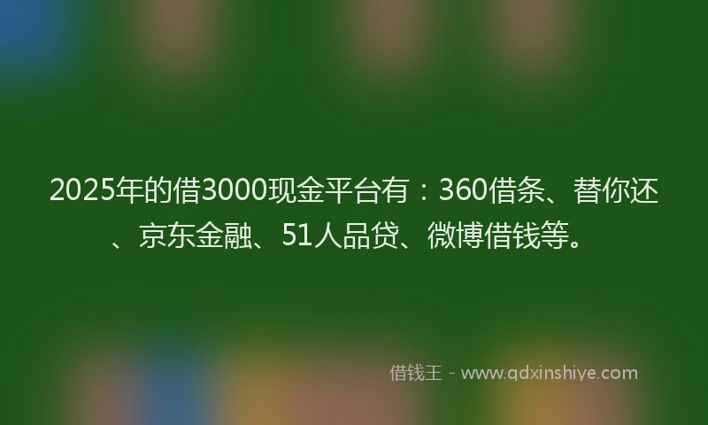 2025年的借3000现金平台有：360借条、替你还、京东金融、51人品贷、微博借钱等。