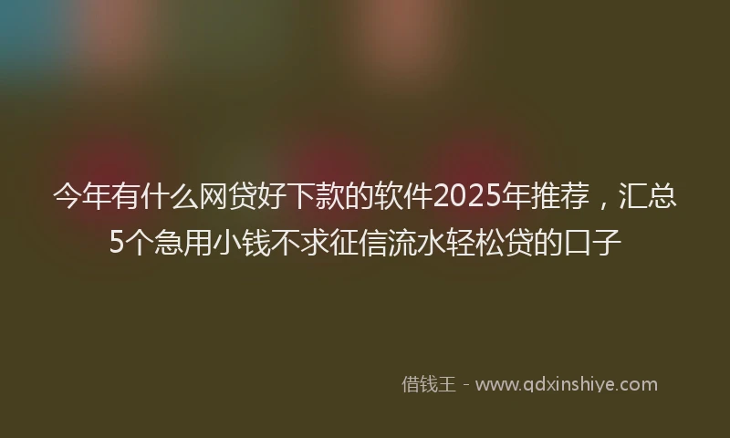 今年有什么网贷好下款的软件2025年推荐，汇总5个急用小钱不求征信流水轻松贷的口子