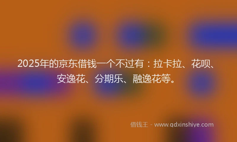2025年的京东借钱一个不过有：拉卡拉、花呗、安逸花、分期乐、融逸花等。