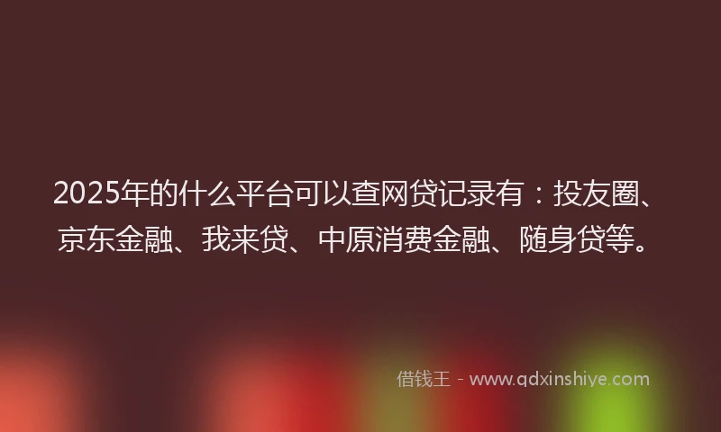 2025年的什么平台可以查网贷记录有：投友圈、京东金融、我来贷、中原消费金融、随身贷等。