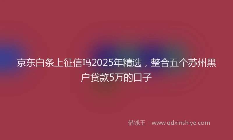 京东白条上征信吗2025年精选，整合五个苏州黑户贷款5万的口子