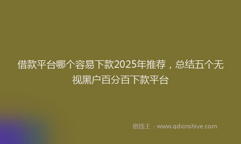 借款平台哪个容易下款2025年推荐，总结五个无视黑户百分百下款平台