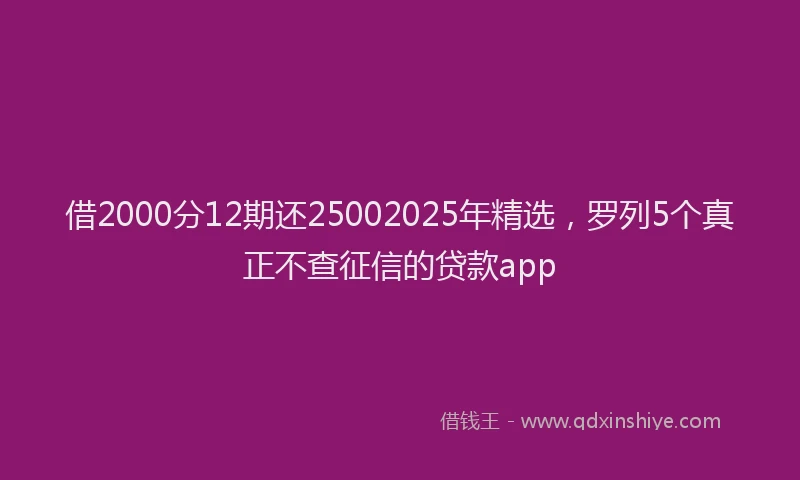 借2000分12期还25002025年精选，罗列5个真正不查征信的贷款app