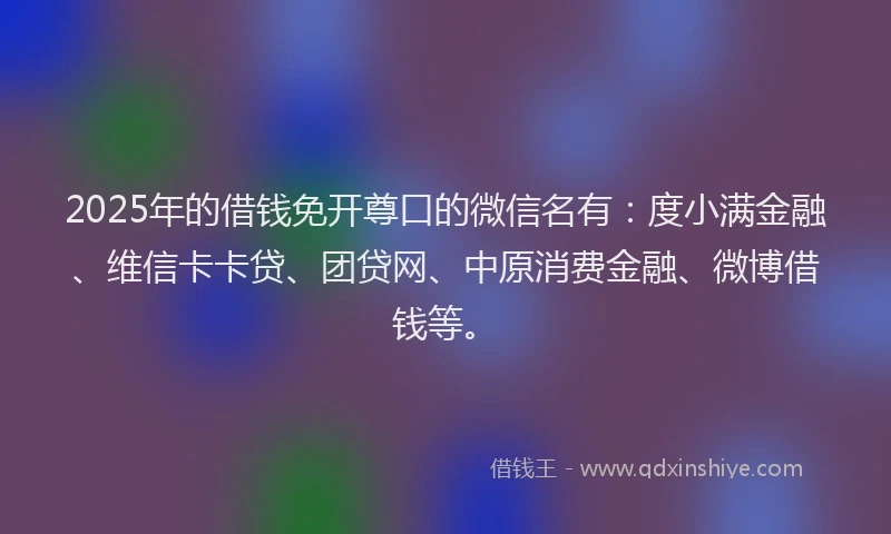 2025年的借钱免开尊口的微信名有：度小满金融、维信卡卡贷、团贷网、中原消费金融、微博借钱等。