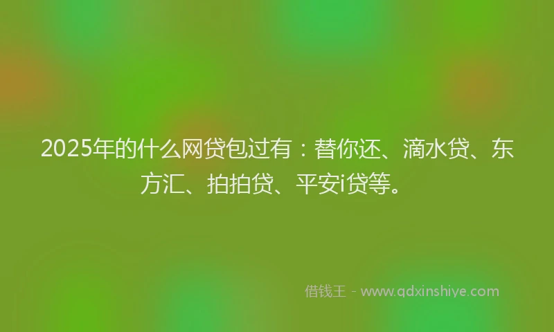 2025年的什么网贷包过有：替你还、滴水贷、东方汇、拍拍贷、平安i贷等。