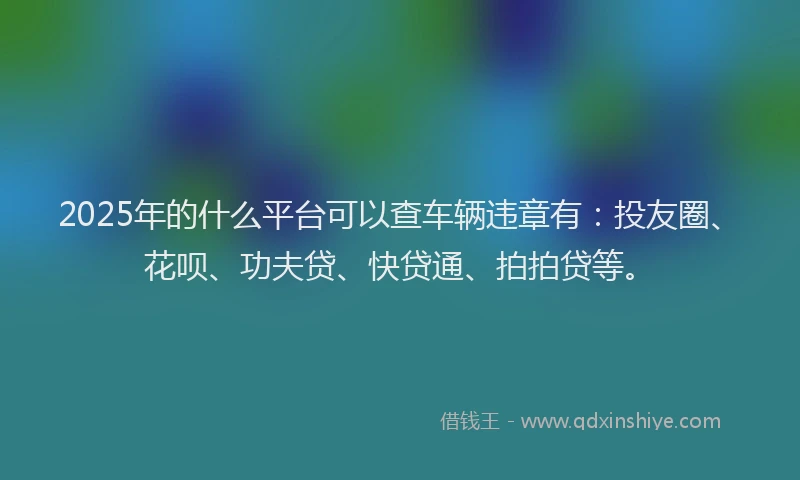 2025年的什么平台可以查车辆违章有：投友圈、花呗、功夫贷、快贷通、拍拍贷等。