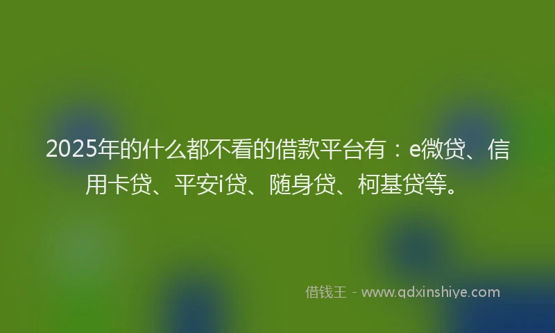 2025年的什么都不看的借款平台有：e微贷、信用卡贷、平安i贷、随身贷、柯基贷等。