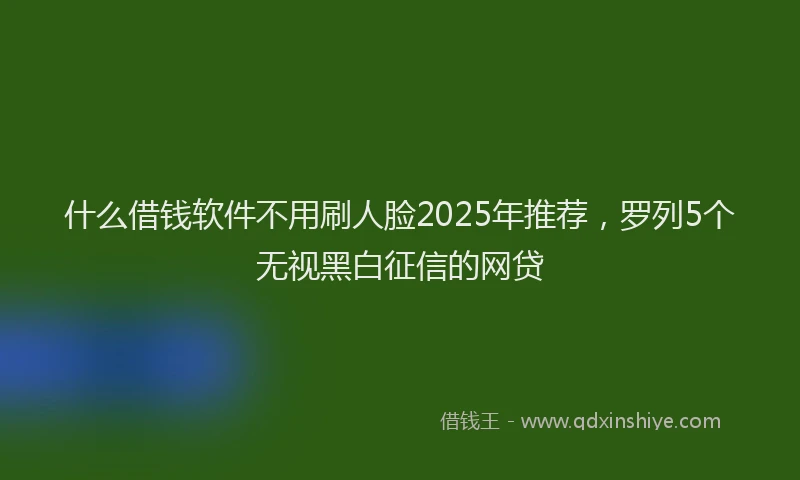 什么借钱软件不用刷人脸2025年推荐，罗列5个无视黑白征信的网贷