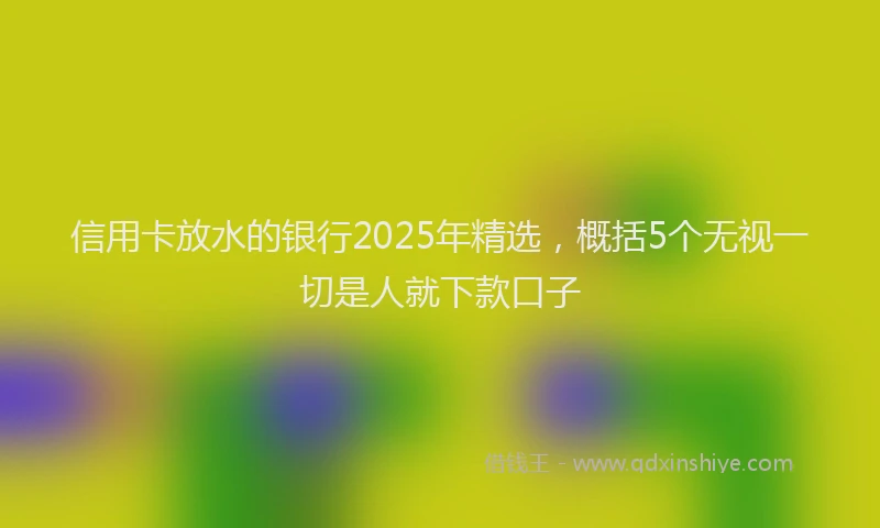 信用卡放水的银行2025年精选，概括5个无视一切是人就下款口子