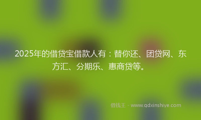 2025年的借贷宝借款人有：替你还、团贷网、东方汇、分期乐、惠商贷等。