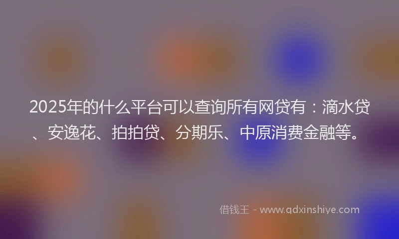 2025年的什么平台可以查询所有网贷有：滴水贷、安逸花、拍拍贷、分期乐、中原消费金融等。