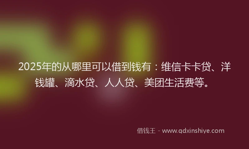 2025年的从哪里可以借到钱有：维信卡卡贷、洋钱罐、滴水贷、人人贷、美团生活费等。