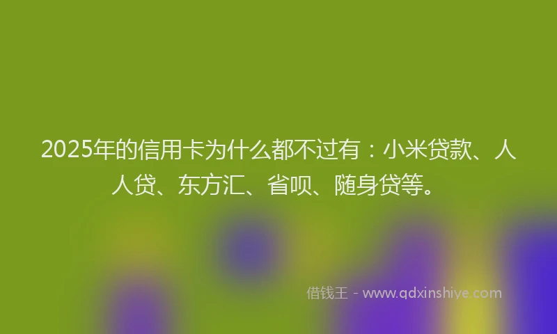 2025年的信用卡为什么都不过有：小米贷款、人人贷、东方汇、省呗、随身贷等。