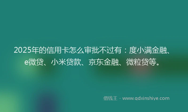 2025年的信用卡怎么审批不过有：度小满金融、e微贷、小米贷款、京东金融、微粒贷等。