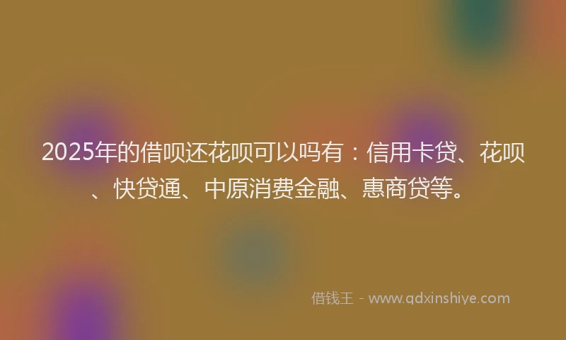 2025年的借呗还花呗可以吗有：信用卡贷、花呗、快贷通、中原消费金融、惠商贷等。