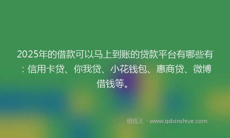 2025年的借款可以马上到账的贷款平台有哪些有：信用卡贷、你我贷、小花钱包、惠商贷、微博借钱等。