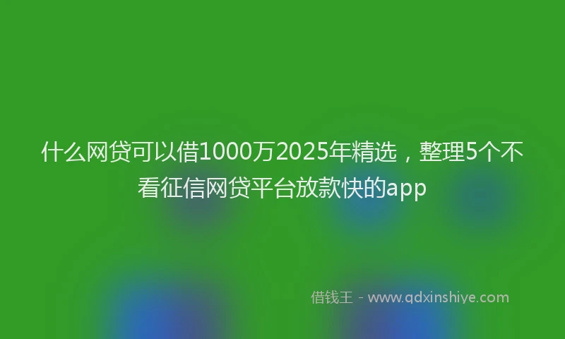 什么网贷可以借1000万2025年精选，整理5个不看征信网贷平台放款快的app