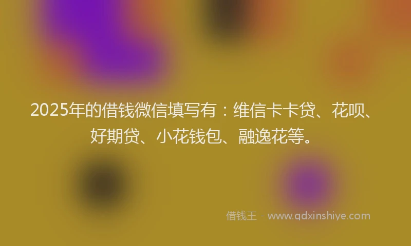2025年的借钱微信填写有：维信卡卡贷、花呗、好期贷、小花钱包、融逸花等。