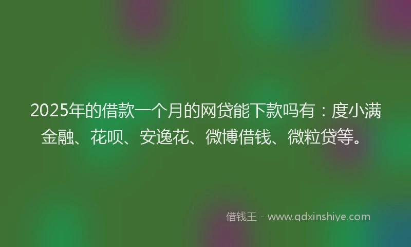 2025年的借款一个月的网贷能下款吗有：度小满金融、花呗、安逸花、微博借钱、微粒贷等。