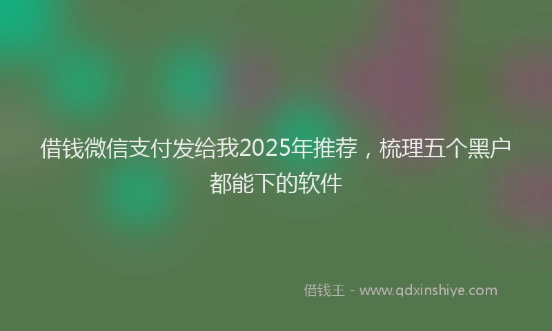 借钱微信支付发给我2025年推荐，梳理五个黑户都能下的软件