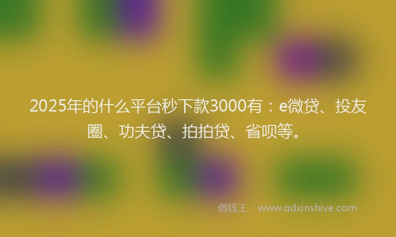 2025年的什么平台秒下款3000有：e微贷、投友圈、功夫贷、拍拍贷、省呗等。