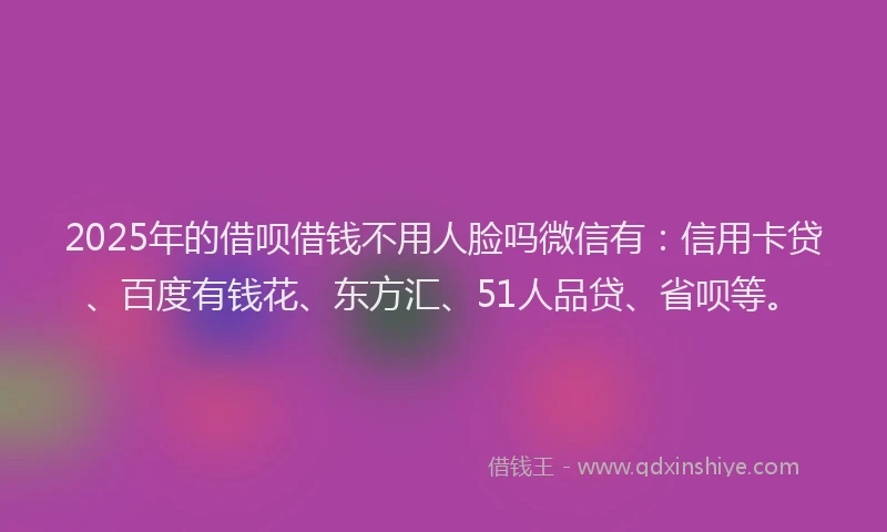 2025年的借呗借钱不用人脸吗微信有：信用卡贷、百度有钱花、东方汇、51人品贷、省呗等。