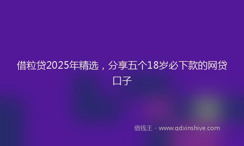借粒贷2025年精选，分享五个18岁必下款的网贷口子