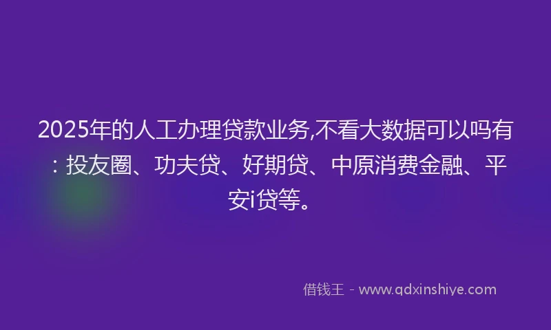 2025年的人工办理贷款业务,不看大数据可以吗有：投友圈、功夫贷、好期贷、中原消费金融、平安i贷等。