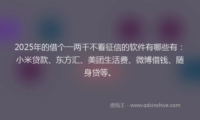 2025年的借个一两千不看征信的软件有哪些有：小米贷款、东方汇、美团生活费、微博借钱、随身贷等。