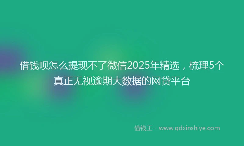 借钱呗怎么提现不了微信2025年精选，梳理5个真正无视逾期大数据的网贷平台
