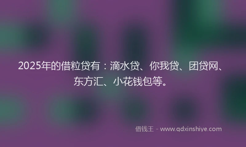 2025年的借粒贷有：滴水贷、你我贷、团贷网、东方汇、小花钱包等。