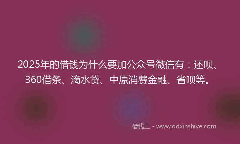 2025年的借钱为什么要加公众号微信有：还呗、360借条、滴水贷、中原消费金融、省呗等。