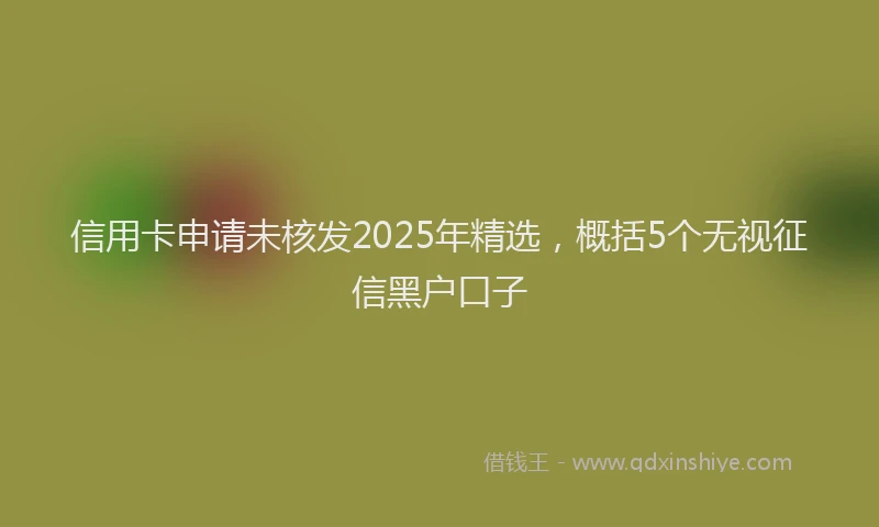 信用卡申请未核发2025年精选，概括5个无视征信黑户口子