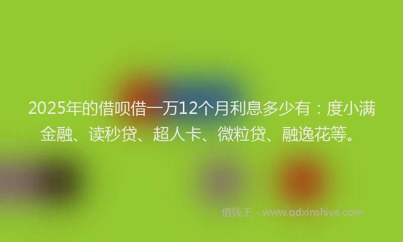 2025年的借呗借一万12个月利息多少有：度小满金融、读秒贷、超人卡、微粒贷、融逸花等。