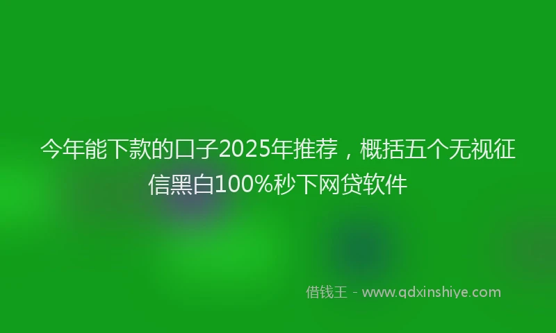 今年能下款的口子2025年推荐，概括五个无视征信黑白100%秒下网贷软件
