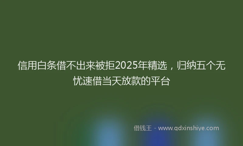信用白条借不出来被拒2025年精选，归纳五个无忧速借当天放款的平台