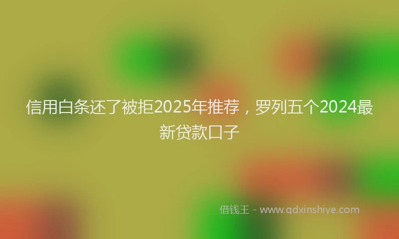 信用白条还了被拒2025年推荐，罗列五个2024最新贷款口子