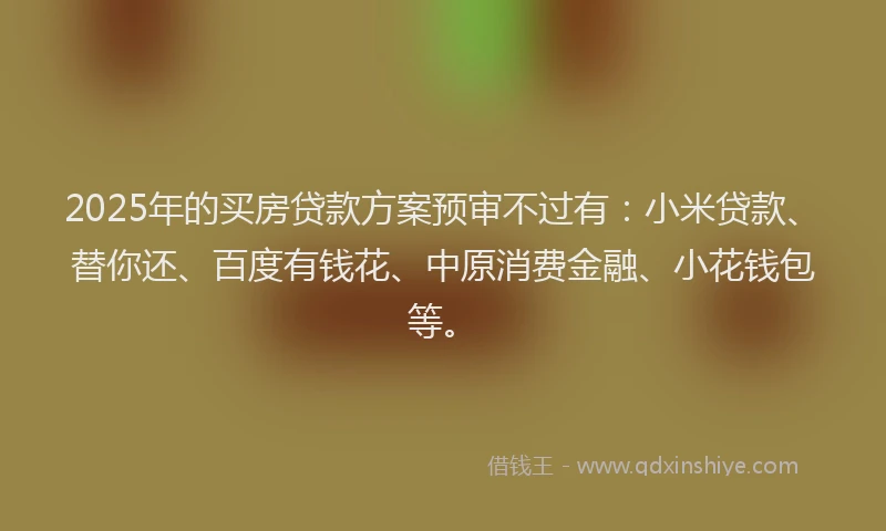 2025年的买房贷款方案预审不过有：小米贷款、替你还、百度有钱花、中原消费金融、小花钱包等。
