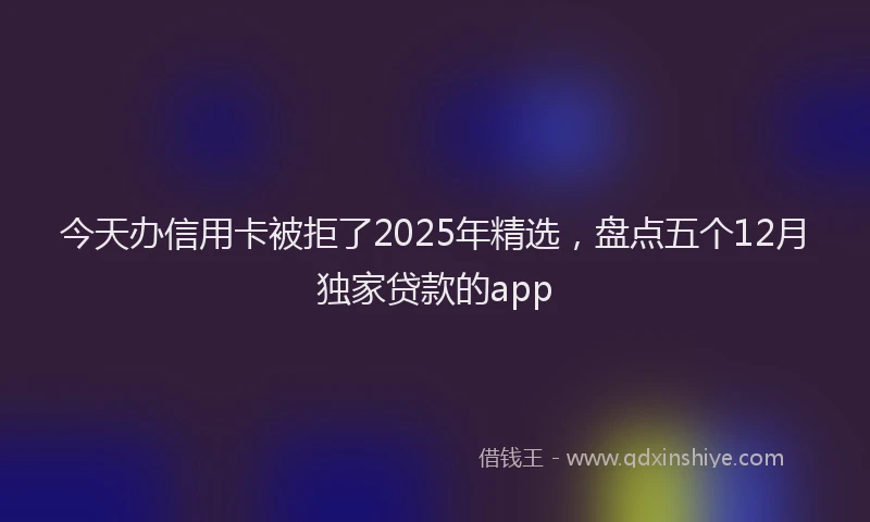今天办信用卡被拒了2025年精选，盘点五个12月独家贷款的app