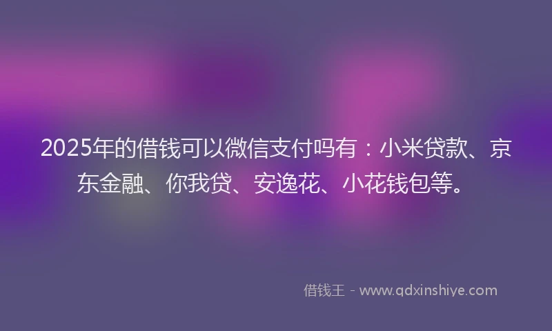 2025年的借钱可以微信支付吗有：小米贷款、京东金融、你我贷、安逸花、小花钱包等。