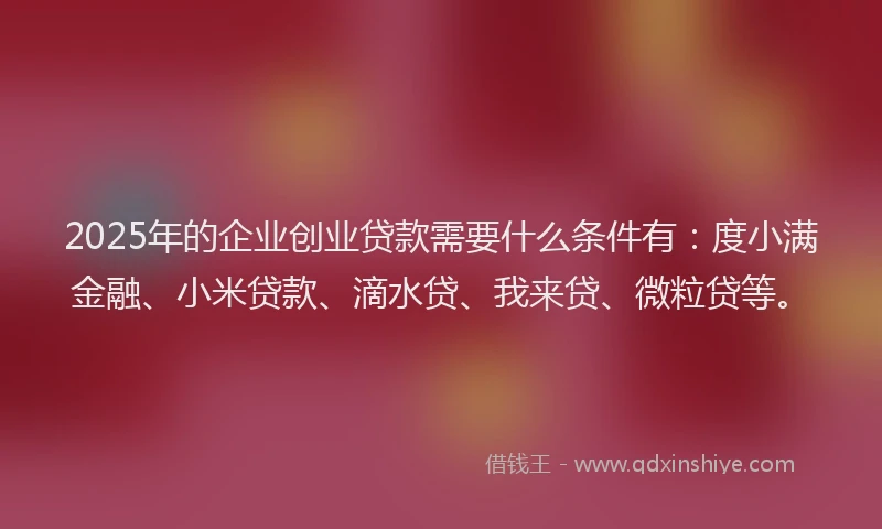 2025年的企业创业贷款需要什么条件有：度小满金融、小米贷款、滴水贷、我来贷、微粒贷等。