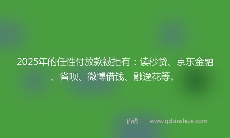 2025年的任性付放款被拒有：读秒贷、京东金融、省呗、微博借钱、融逸花等。
