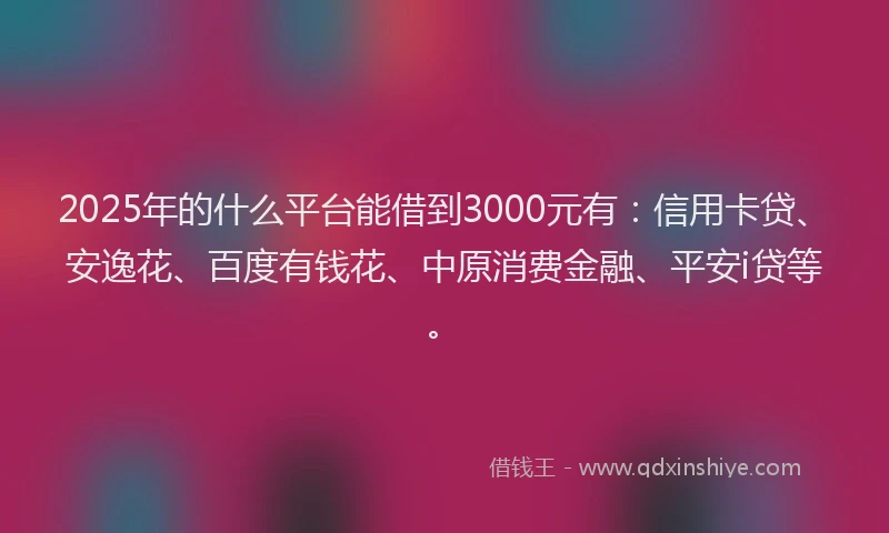 2025年的什么平台能借到3000元有：信用卡贷、安逸花、百度有钱花、中原消费金融、平安i贷等。