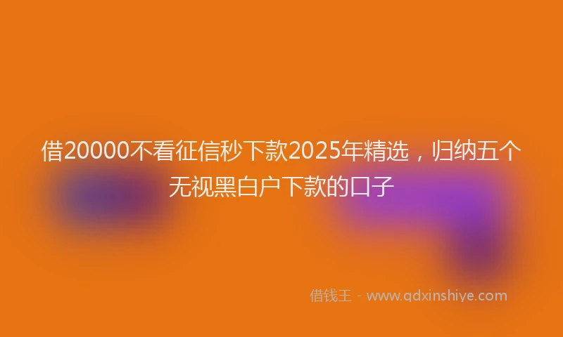 借20000不看征信秒下款2025年精选，归纳五个无视黑白户下款的口子