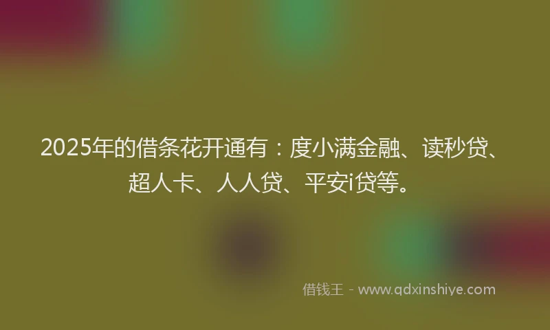 2025年的借条花开通有：度小满金融、读秒贷、超人卡、人人贷、平安i贷等。