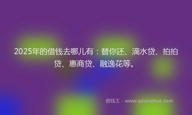 2025年的借钱去哪儿有：替你还、滴水贷、拍拍贷、惠商贷、融逸花等。