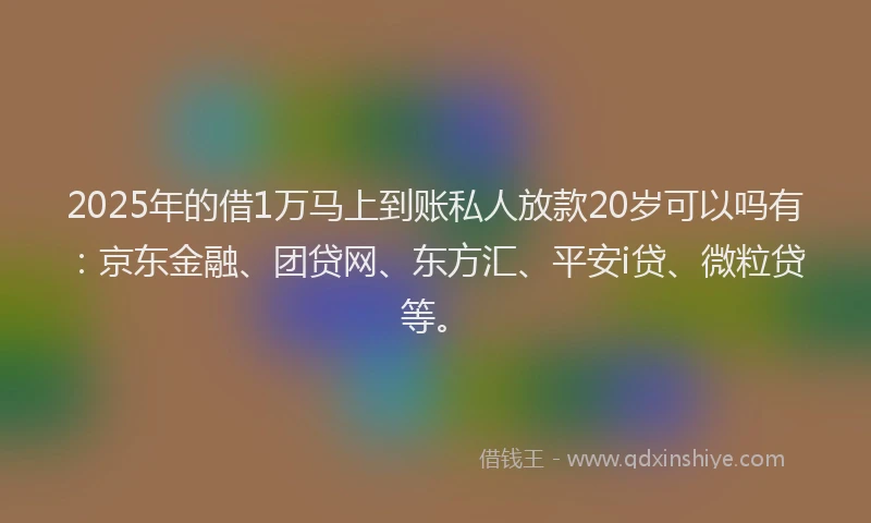 2025年的借1万马上到账私人放款20岁可以吗有：京东金融、团贷网、东方汇、平安i贷、微粒贷等。