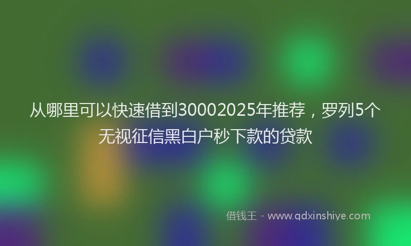 从哪里可以快速借到30002025年推荐，罗列5个无视征信黑白户秒下款的贷款